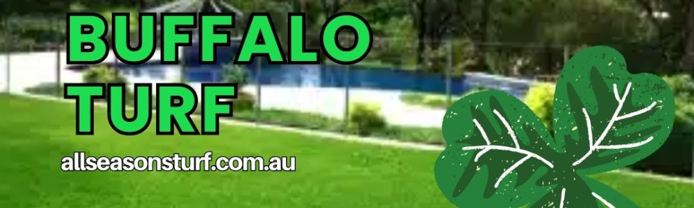User banner image