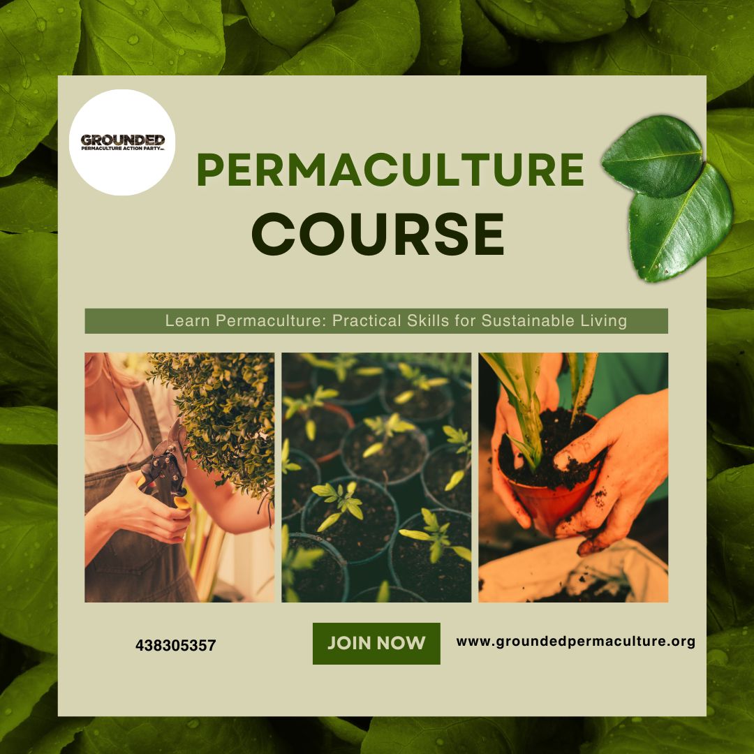 Grounded Permaculture: Learn, Design, Regenerate