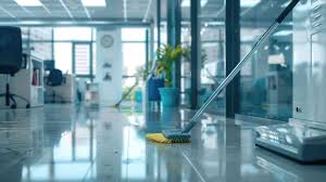 Domestic Cleaning in Sydney